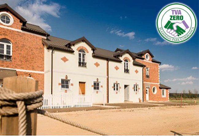 TVA Zero la vilele din Flamingo Park