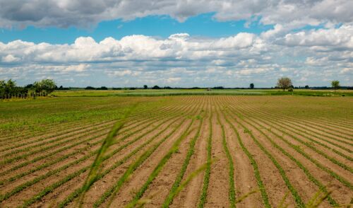 Unul dintre cei mai mari investitori in terenuri agricole face achizitii in judetul Constanta