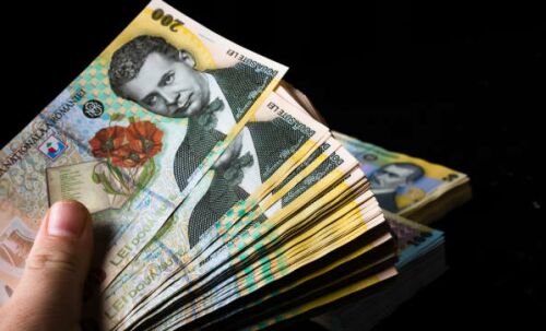 Guvernul pregateste publicarea „listei datornicilor” la bugetele locale. Pragurile propuse: 3.000 lei pentru persoane fizice si 5.000 lei pentru firme