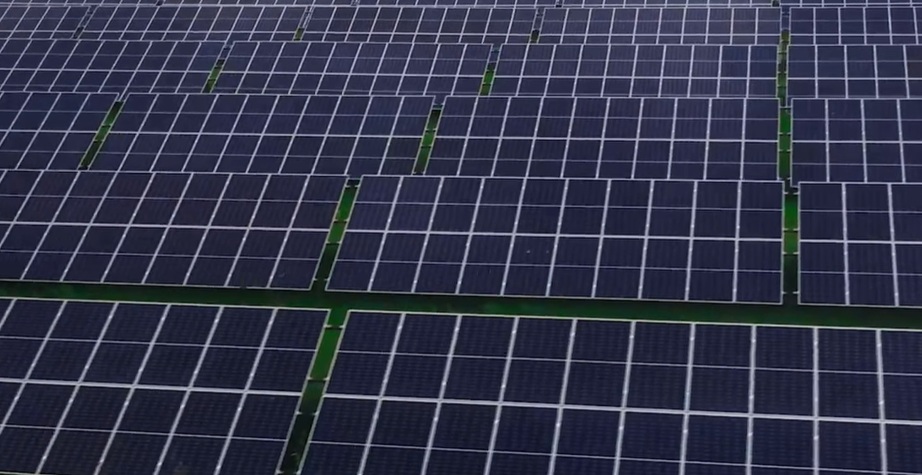 Renovatio Engineering, preluat de investitori din Portugalia